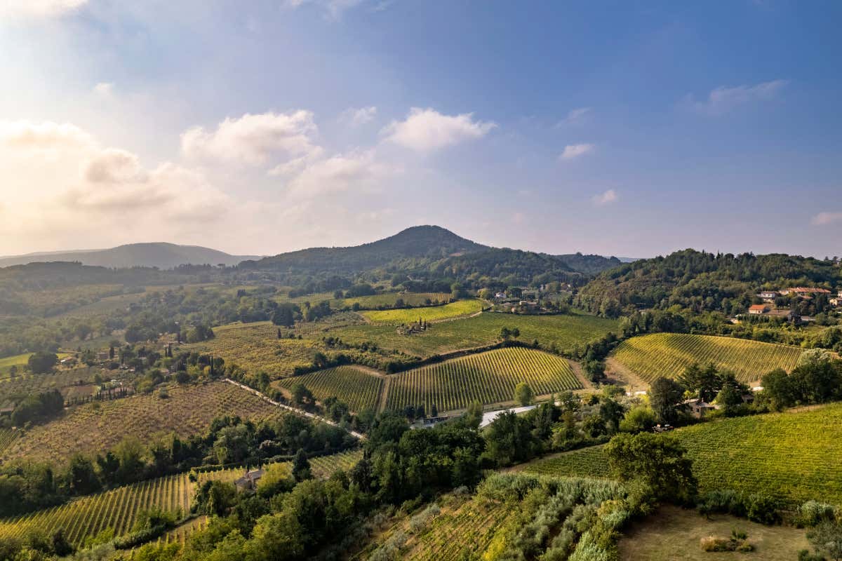 Vino Nobile Montepulciano 2022: annata dei record